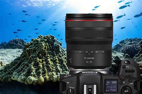 express s01e03 r5|How to Use the Canon R5 II in a Canon R5 Underwater Housing .
